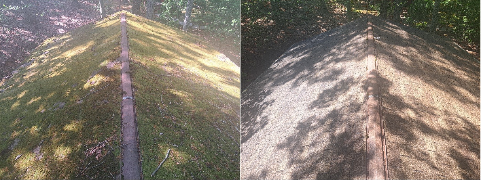 Roof before and after cleaning showing moss removal and surface restoration
