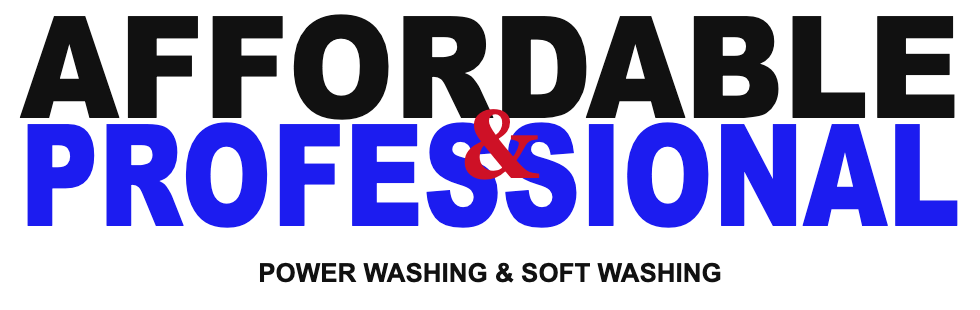 Affordable & Professional logo with power washing and soft washing text
